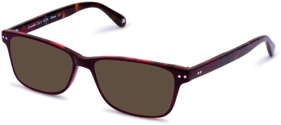 Walter & Herbert Cavendish sunglasses in Red