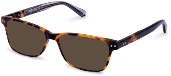Walter & Herbert Cavendish sunglasses in Tort