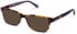 Walter & Herbert Cavendish sunglasses in Tort