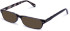 Walter & Herbert Darling sunglasses in Blue/Tort