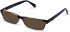 Walter & Herbert Darling sunglasses in Brown/Green