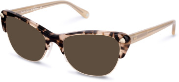 Walter & Herbert Franklin sunglasses in Tort