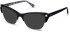 Walter & Herbert Franklin sunglasses in Black