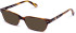 Walter & Herbert Moore sunglasses in Brown/Tort