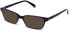 Walter & Herbert Moore sunglasses in Purple