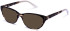 Walter & Herbert Pankhurst sunglasses in Brown Tort/Pink