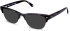 Walter & Herbert Shelley sunglasses in Black