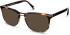 Walter & Herbert Turner sunglasses in Brown Semi-Stripe
