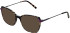 X-Eyes Lite 38 sunglasses in Purple Tort