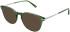 Zenith 104 sunglasses in Khaki Green