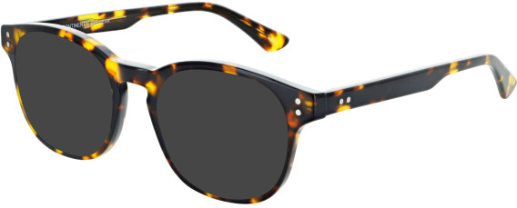 Zenith 106 sunglasses in Tort