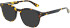 Zenith 106 sunglasses in Tort