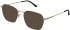 Zenith 120 sunglasses in Gold/Black