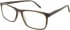 SFE-11625 glasses in Brown
