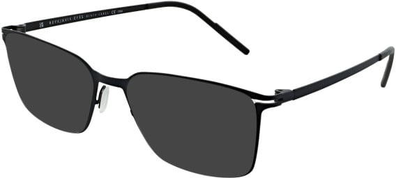 Reykjavik Eyes LUKAS sunglasses in Black