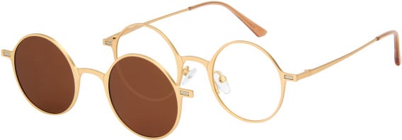 London Club 1159 JUDE glasses in Gold/Brown