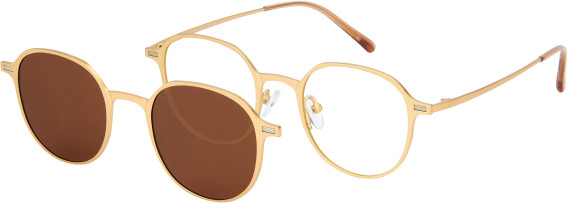 London Club 1158 CAPRI glasses in Gold/Brown