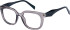 SFE-12021 glasses in Grey