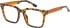 SFE-12024 glasses in Demi Brown