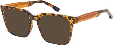 SFE-12024 sunglasses in Demi Brown