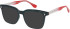 SFE-12025 sunglasses in Black/Red