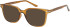 SFE-12026 sunglasses in Brown