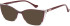 SFE-12032 sunglasses in Maroon
