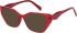 SFE-12023 sunglasses in Red