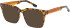 SFE-12024 sunglasses in Demi Brown