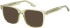 SFE-12028 sunglasses in Olive