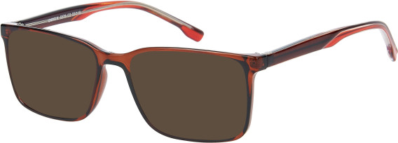SFE-12031 sunglasses in Black/Maroon