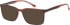 SFE-12031 sunglasses in Black/Maroon