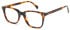 LONDON CLUB 1169 HOWELL glasses in Tort