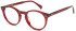 LONDON CLUB 1170 TURNER glasses in Red