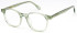 LONDON CLUB 1172 SADLER glasses in Green