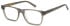 LONDON CLUB 1177 HARDING glasses in Grey