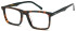LONDON CLUB 1180 MILES glasses in Tort