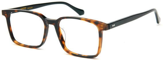LONDON CLUB 1181 WATSON glasses in Tort