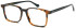 LONDON CLUB 1181 WATSON glasses in Tort