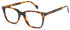 LONDON CLUB 1169 HOWELL glasses in Tort