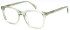 LONDON CLUB 1169 HOWELL glasses in Green