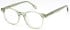 LONDON CLUB 1172 SADLER glasses in Green