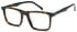 LONDON CLUB 1180 MILES glasses in Tort