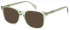 LONDON CLUB 1169 HOWELL glasses in Green