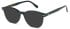 LONDON CLUB 1172 SADLER glasses in Black