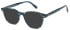 LONDON CLUB 1172 SADLER glasses in Blue Tort