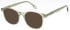 LONDON CLUB 1172 SADLER glasses in Green