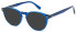 LONDON CLUB 1173 PENROSE glasses in Blue