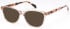 LONDON CLUB 1175 CLARKE glasses in Peach