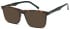 LONDON CLUB 1180 MILES glasses in Tort
